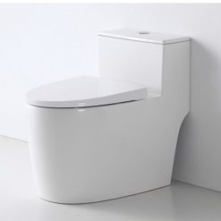 Bồn cầu nguyên khối Hwata HT-107